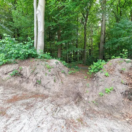 Casa de Férias Cosy Holiday In Near The Woods Ermelo